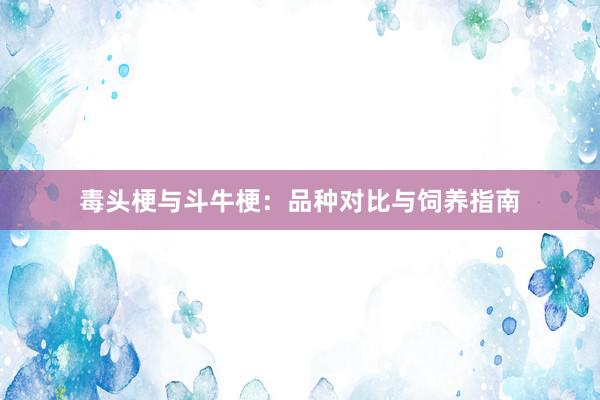 毒头梗与斗牛梗：品种对比与饲养指南