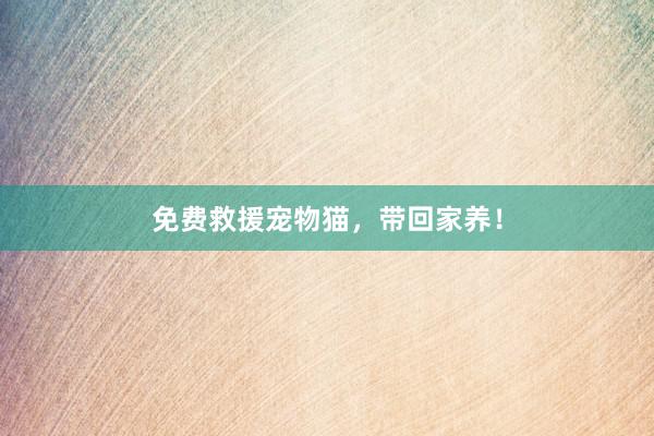 免费救援宠物猫，带回家养！
